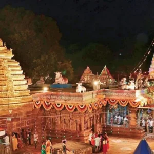 Daily Srisailam Tour